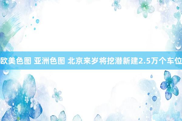 欧美色图 亚洲色图 北京来岁将挖潜新建2.5万个车位