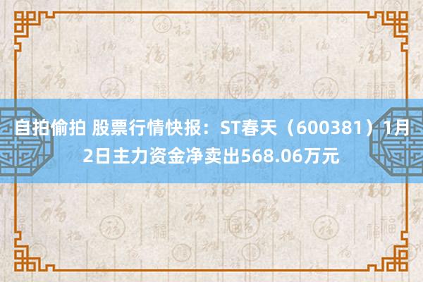 自拍偷拍 股票行情快报：ST春天（600381）1月2日主力资金净卖出568.06万元