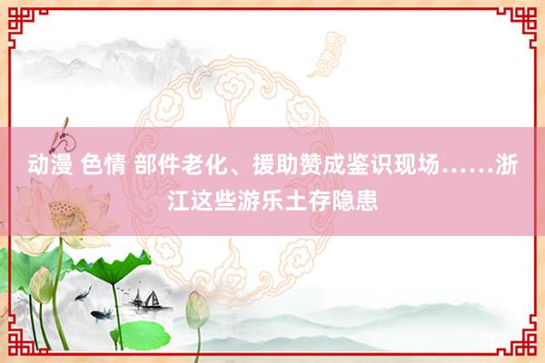 动漫 色情 部件老化、援助赞成鉴识现场……浙江这些游乐土存隐患