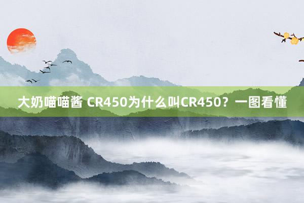 大奶喵喵酱 CR450为什么叫CR450？一图看懂