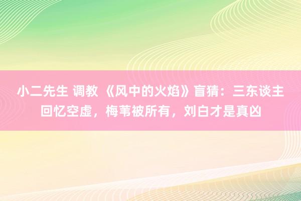 小二先生 调教 《风中的火焰》盲猜：三东谈主回忆空虚，梅苇被所有，刘白才是真凶