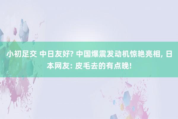 小初足交 中日友好? 中国爆震发动机惊艳亮相， 日本网友: 皮毛去的有点晚!