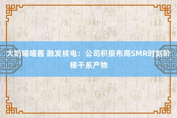 大奶喵喵酱 融发核电：公司积极布局SMR时刻阶梯干系产物