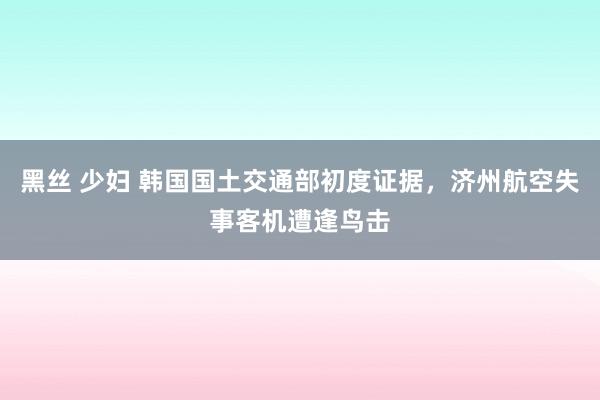 黑丝 少妇 韩国国土交通部初度证据，济州航空失事客机遭逢鸟击