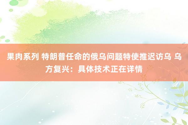 果肉系列 特朗普任命的俄乌问题特使推迟访乌 乌方复兴：具体技术正在详情