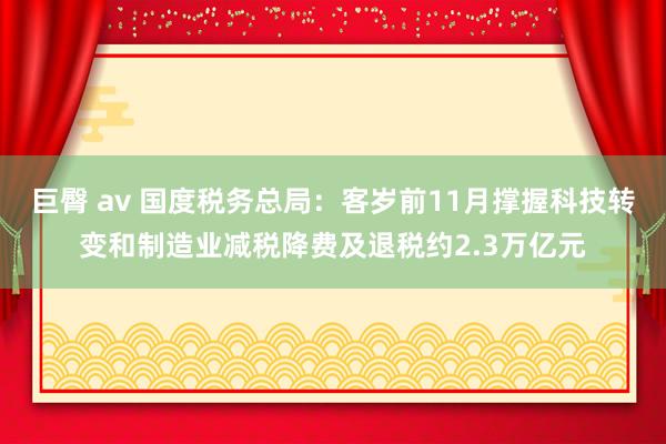 巨臀 av 国度税务总局：客岁前11月撑握科技转变和制造业减税降费及退税约2.3万亿元