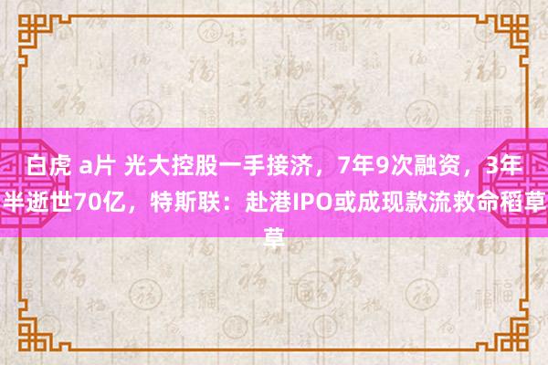 白虎 a片 光大控股一手接济，7年9次融资，3年半逝世70亿，特斯联：赴港IPO或成现款流救命稻草