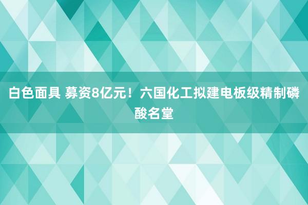 白色面具 募资8亿元！六国化工拟建电板级精制磷酸名堂