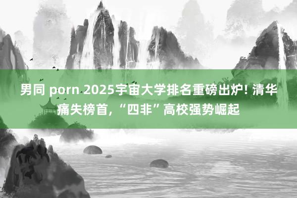 男同 porn 2025宇宙大学排名重磅出炉! 清华痛失榜首， “四非”高校强势崛起