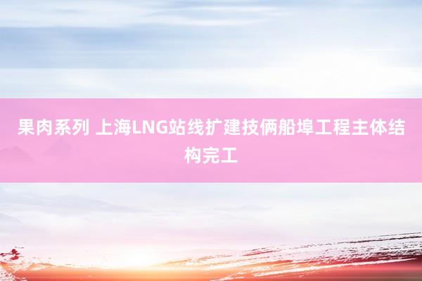 果肉系列 上海LNG站线扩建技俩船埠工程主体结构完工