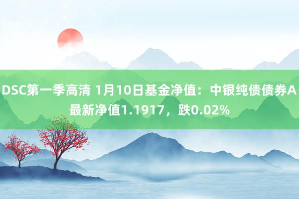 DSC第一季高清 1月10日基金净值：中银纯债债券A最新净值1.1917，跌0.02%