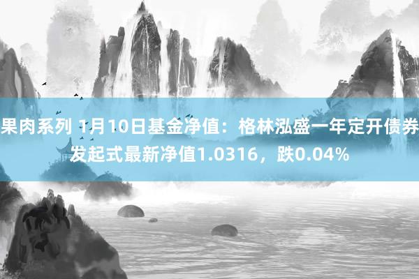 果肉系列 1月10日基金净值：格林泓盛一年定开债券发起式最新净值1.0316，跌0.04%