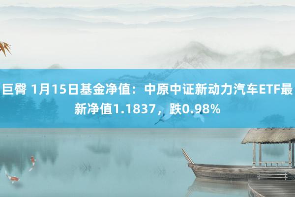 巨臀 1月15日基金净值：中原中证新动力汽车ETF最新净值1.1837，跌0.98%